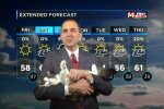 кошка ведет прогноз погоды, кадр из видео
