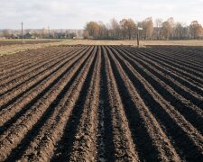 сільськогосподарська земля поле Україна