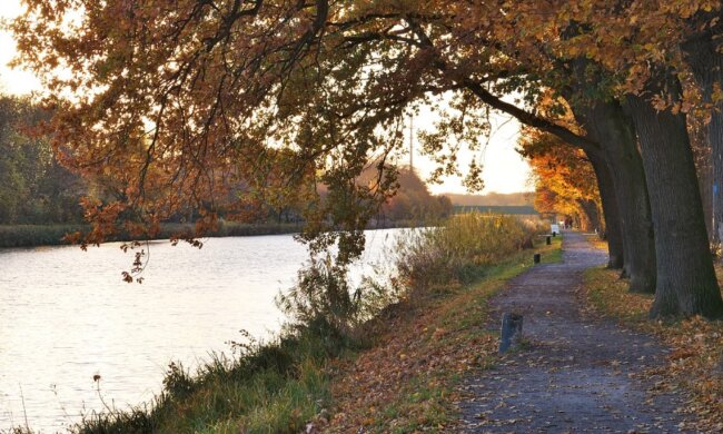погода в Україні
