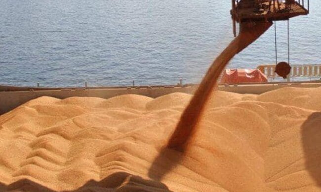 Українське зерно. Фото: скриншот Facebook