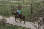 Киевлянин верхом на коне поднял карантинный настроение, скрин с видео