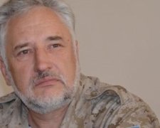 Губернатор Донецкой области объявил мобилизацию патриотов на госслужбу