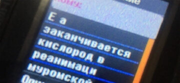 Последнее сообщение врачу, скриншот: "К.П."