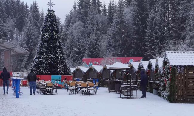 Карпаты, фото: скриншот из видео