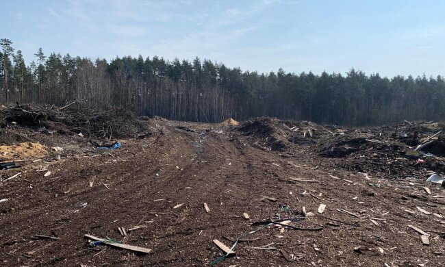 засмічення земель у Радомишльській громаді