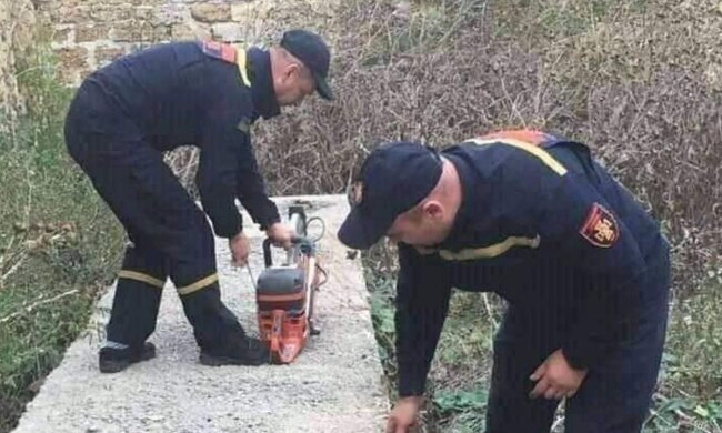 Скрін, Facebook МВС