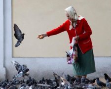Пелагея Заступниця 17 травня: чого категорично не можна робити