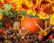 Самые полезные продукты сентября