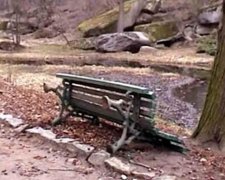 В Умані влаштували погром в парку Софіївка (відео)