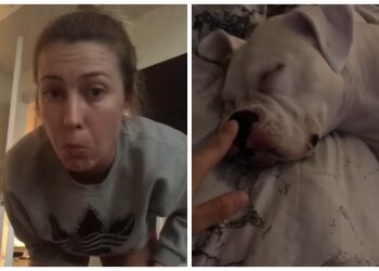 Саманта и собака Лейла, кадры из видео