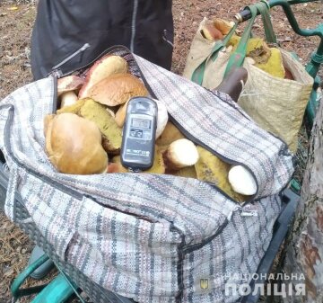 Гриби / фото: Поліція Київської області