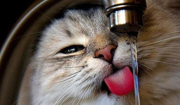 Експерти розповіли, як менше платити за воду