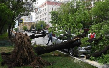 В Москві ураган знищив дівчинку: страшні кадри трагедії