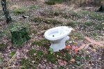 Унитаз посреди леса, фото: социальные сети