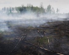 У Києві зафіксували перевищення вмісту токсичних речовин у повітрі