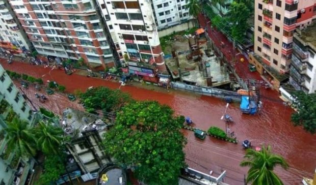 Курбан-байрам в Бангладеш закончился реками крови