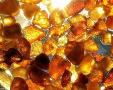 Депутат Луценко запитає у Деканоїдзе, чому нова поліція не перешкоджає "бурштиновій мафії"