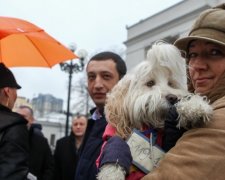 За знущання над тваринами почнуть кидати за ґрати