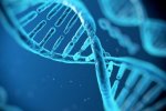 Ученые записали информацию в геном бактерий