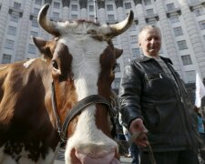 Яке свято 27 січня: що потрібно обов'язково зробити в цей день