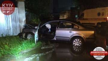 Фото: ГО "Варта Голосієво"