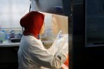 Вчені знайшли “еліксир безсмертя”: склад розсекречено
