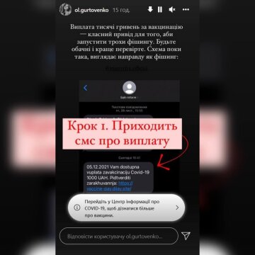 Мошенники, скриншот: Instagram Stories