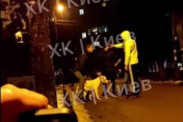 Напад групи на ветерана, скріншот з відео