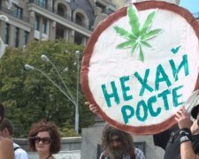 Держнаркоконтроль підпорядкує собі наркотрафік