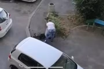 У Києві нахабна автомадам розгромила клумбу заради паркування