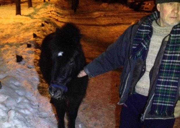 В центре Киева нашли заблудившуюся лошадь