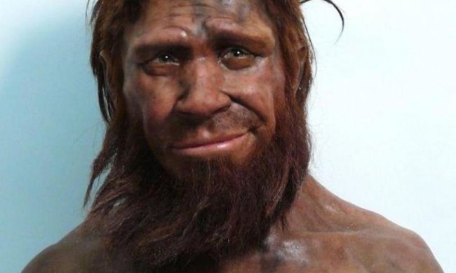 Меню неандертальців відкрилося історикам