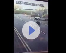 Мережу зворушив безпритульний, який отримав роботу