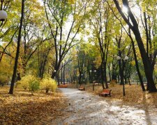 Кияни, насолоджуйтеся останнім теплом: яку погоду обіцяють синоптики 16 листопада