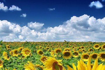 Щоденник України