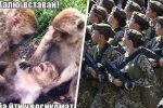 Мемы, фото: свободный доступ