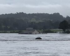 Повінь у Австралії, кадр з відео