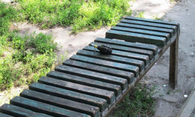 На Полтавщине найденная во дворе граната оказалась муляжом