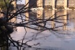 Керівництво Держекоінспекції здійснило візит до Донецької області