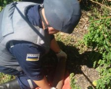 Женщина обустроила склад боеприпасов в заброшенном доме