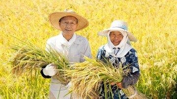 День подяки праці в Японії, фото: VisitJapan.ru