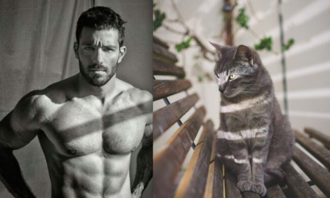 В сети сравнили обнаженных парней и пушистых котиков: кто победит