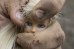 Пытки, секс и унижение: за детский приют "Свитанок" в Одессе возьмутся копы и ГБР