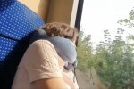 Подушка для путешествий: фото скрин Ютуб