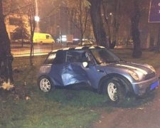 Львів: П'яний митник в'їхав на Mini Cooper в дерево (фото)