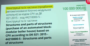 Схеми мера Андрія Білоусова та його матері / фото: СтопКор