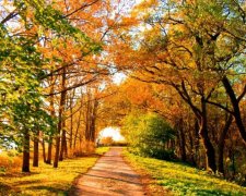 Когда в Украине наступит бабье лето 2017