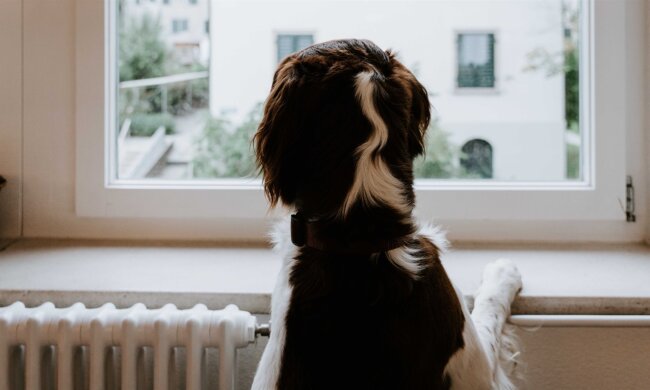 опалювальний сезон в Україні