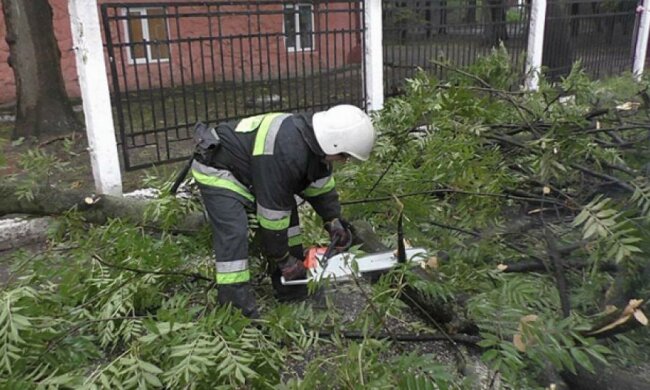 Спасатели разгребают завалы после бури в Черновцах (фото)