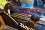 Українка застрелила чоловіка під час сварки і забетонувала тіло - "Поїхав з дому і зник"